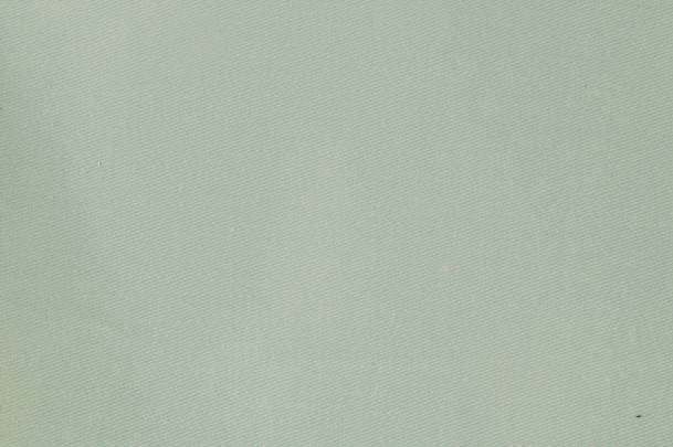 Cotton sateen lining, Solprufe finish, duckegg
