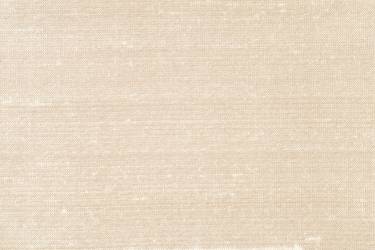 Beige 2 100% Silk Dupion
