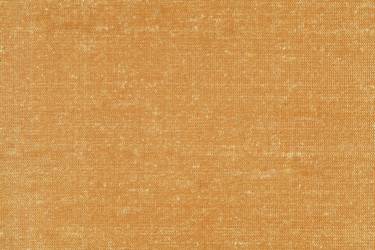 Camel 100% Silk Dupion