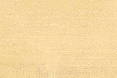 Champagne Jewel 100% Silk Dupion