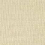 Champagne 100% Silk Dupion