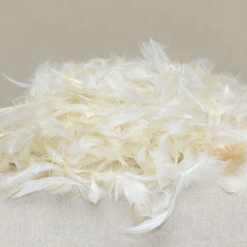 duck feather filling