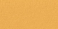 100% Cotton sateen lining, Solprufe finish,  ANTIQUE GOLD