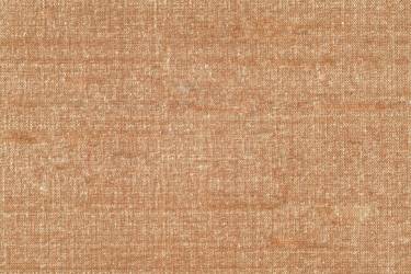 Light Golden Rod 100% Silk Dupion