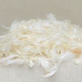 China Duck Feather
